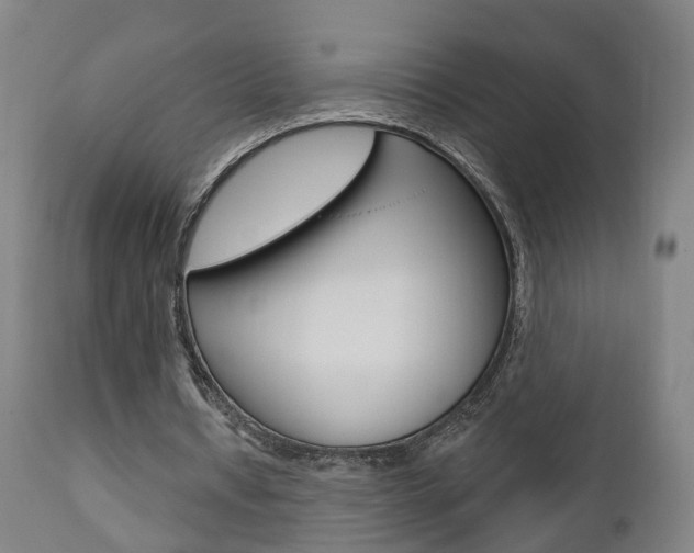 X0000110860434200906180949