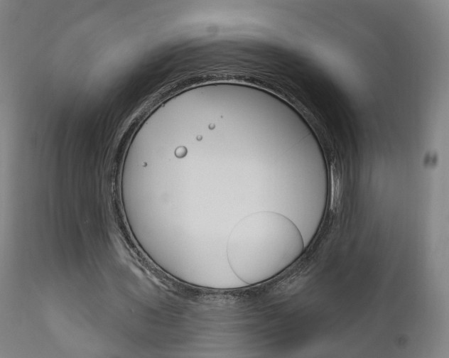 X0000110860435200906180949