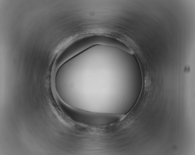 X0000110860436200906180949