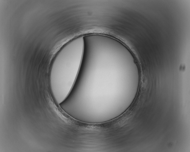 X0000110860437200906180949