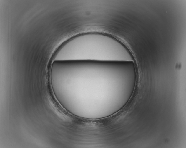 X0000110860439200906180949