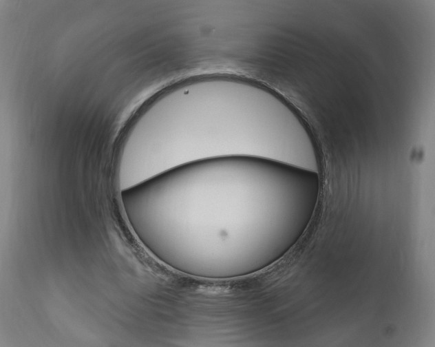 X0000110860440200906180949