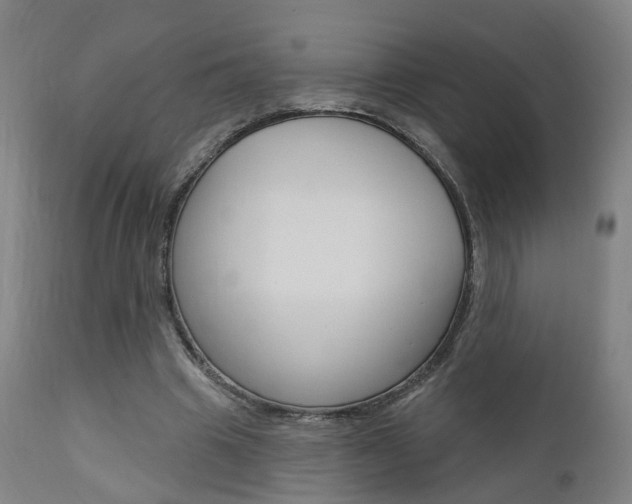 X0000110860441200906180949
