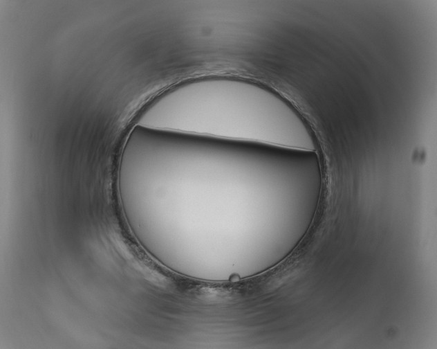 X0000110860442200906180949