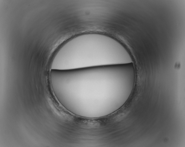 X0000110860443200906180949