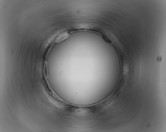 X0000110860444200906180949