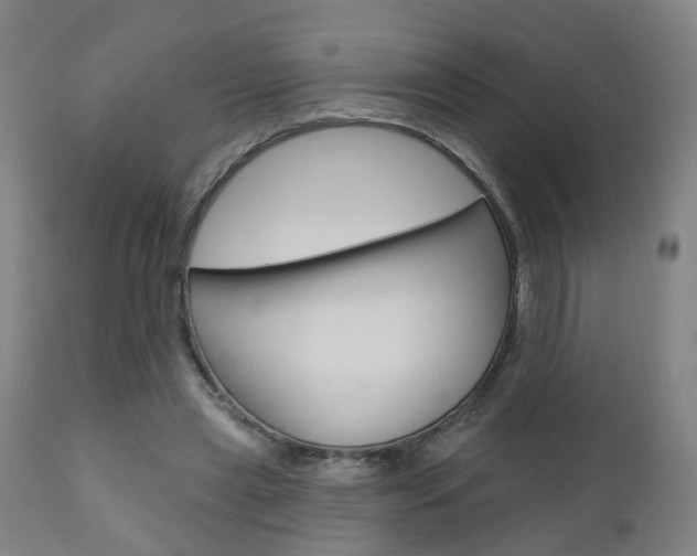 X0000110860445200906180949