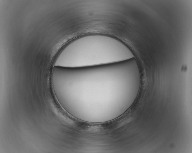 X0000110860446200906180949