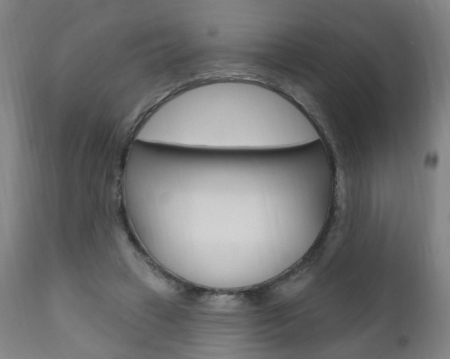 X0000110860449200906180949
