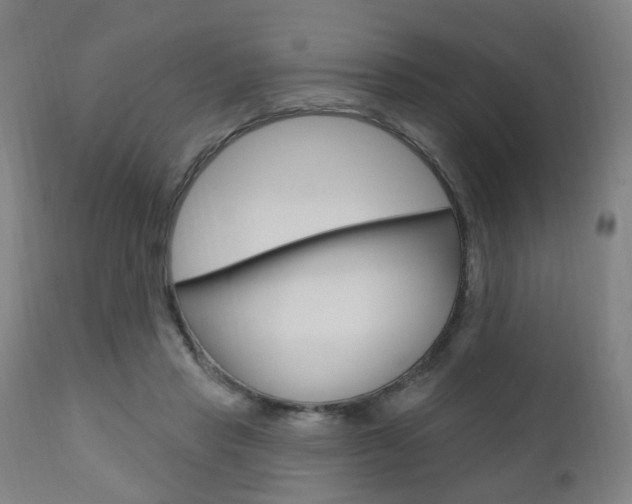 X0000110860453200906180949