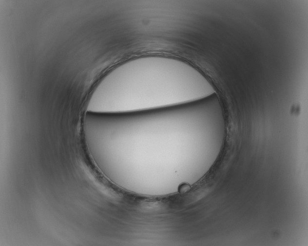 X0000110860454200906180949
