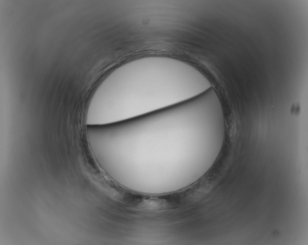 X0000110860455200906180949