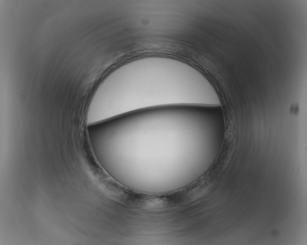 X0000110860456200906180949