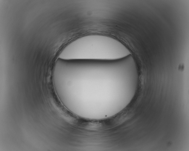 X0000110860458200906180949