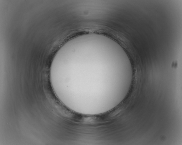 X0000110860461200906180950