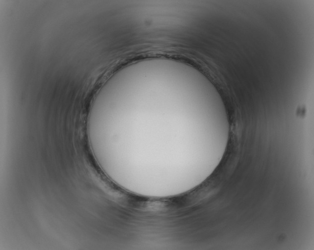 X0000110860462200906180950