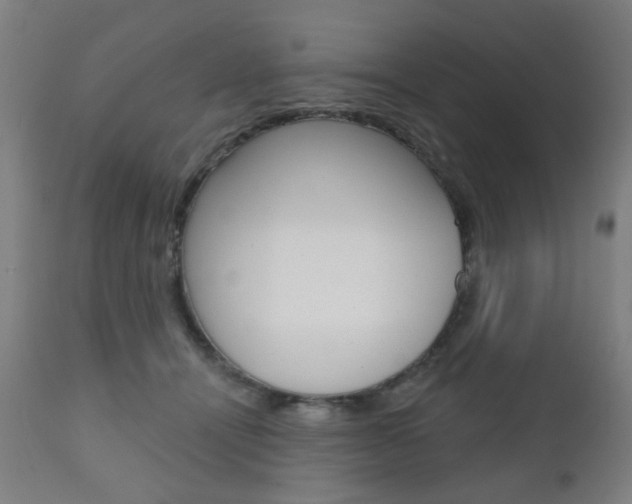 X0000110860464200906180950