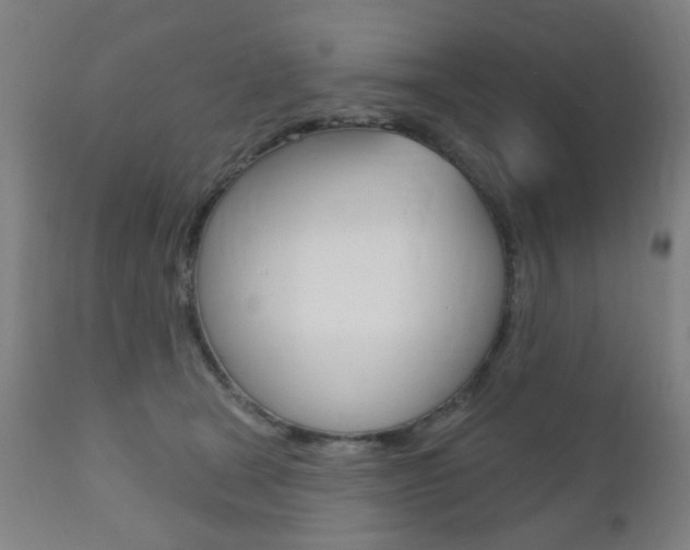 X0000110860465200906180950