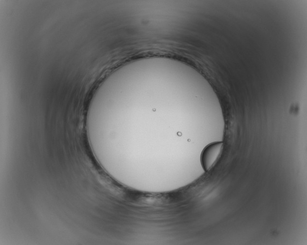 X0000110860466200906180950