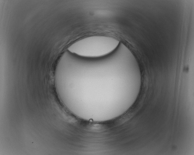 X0000110860467200906180950