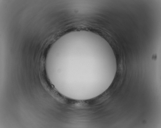 X0000110860468200906180950