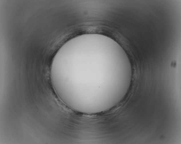 X0000110860469200906180950