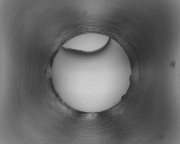 X0000110860474200906180950