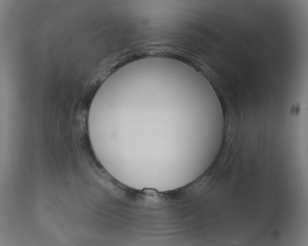X0000110860475200906180950