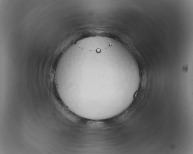 X0000110860476200906180950