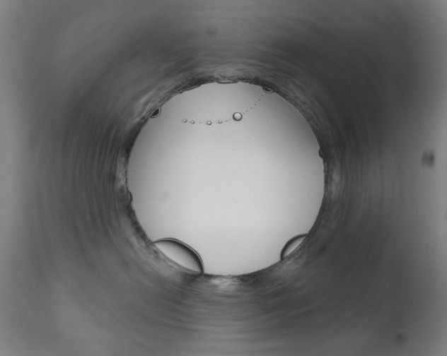 X0000110860478200906180950