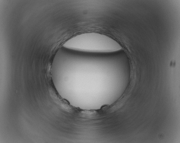 X0000110860480200906180950