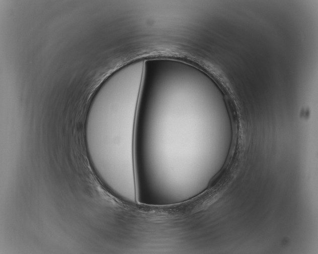 X0000110860481200906180949