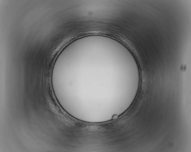 X0000110860482200906180949
