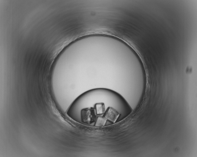 X0000110860485200906180949