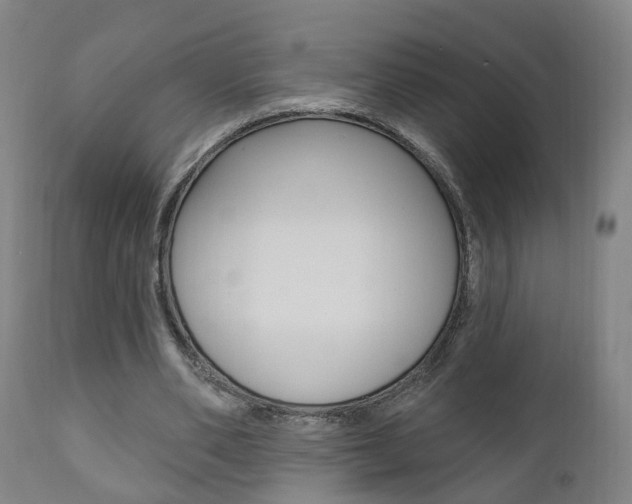 X0000110860486200906180949
