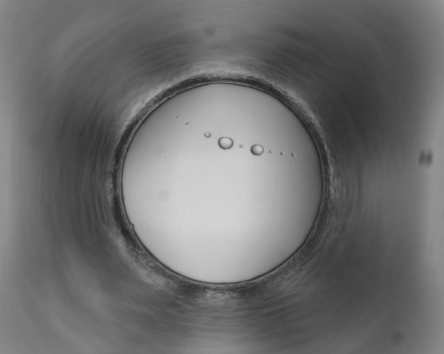 X0000110860487200906180949