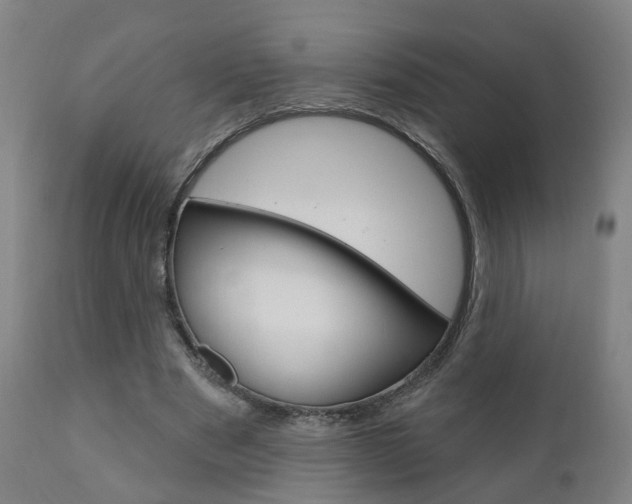 X0000110860489200906180949