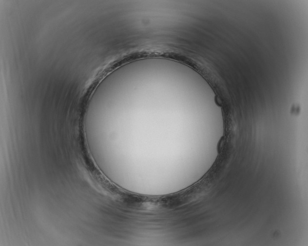 X0000110860496200906180949