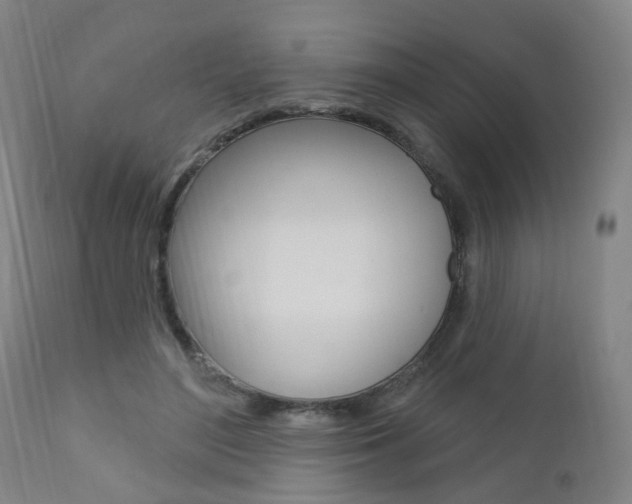 X0000110860500200906180949