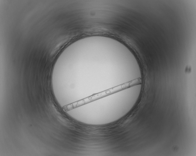 X0000110860501200906180949
