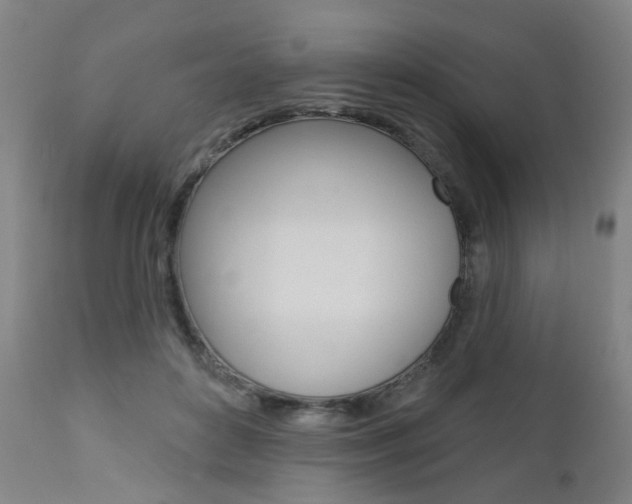 X0000110860504200906180949