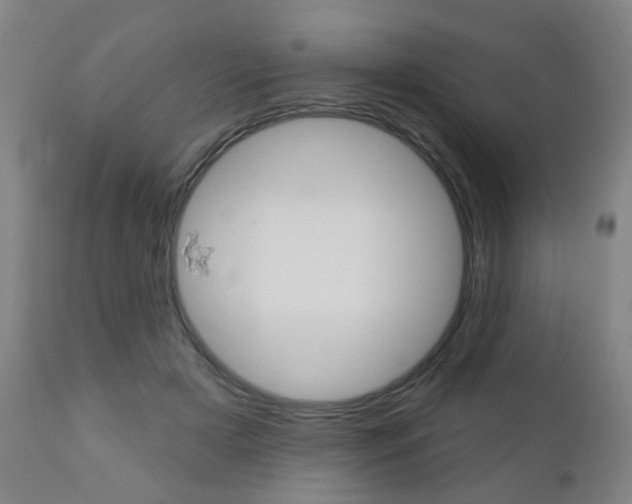 X0000110860505200906180949