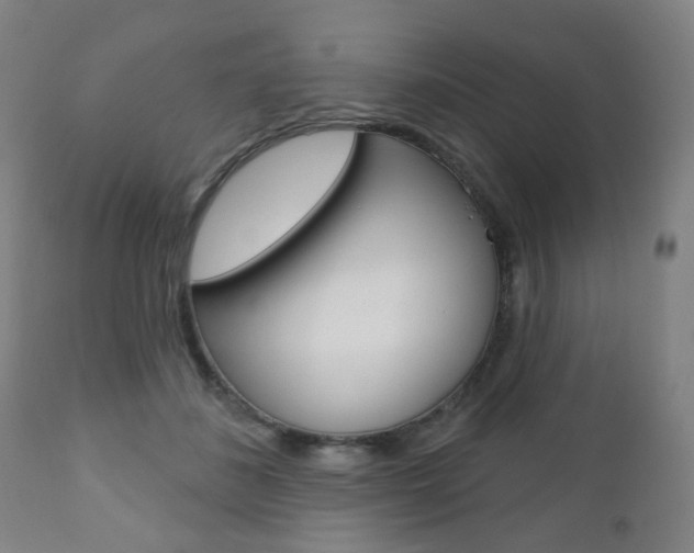 X0000110860508200906180949