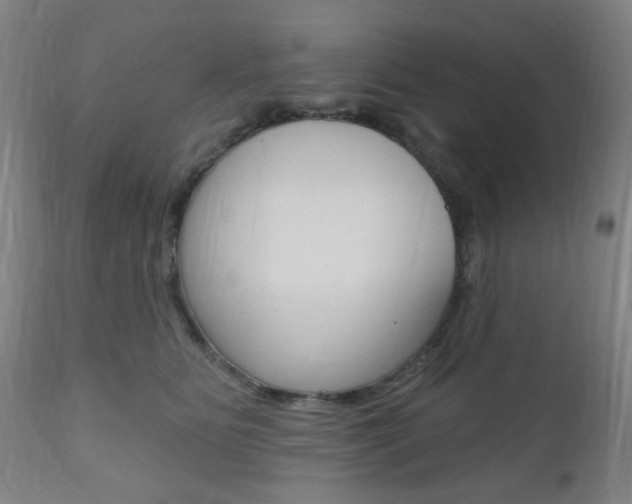 X0000110860515200906180948
