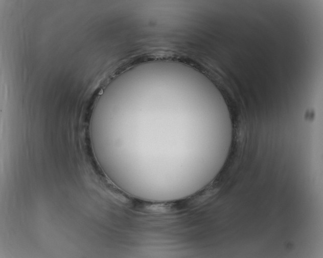 X0000110860516200906180948
