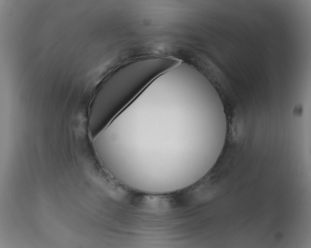 X0000110860520200906180948
