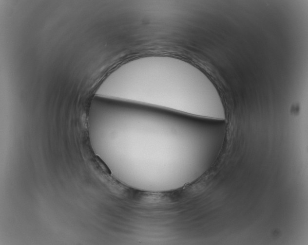 X0000110860521200906180948