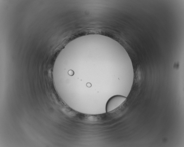X0000110860522200906180948