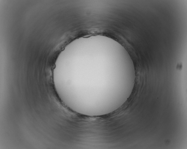 X0000110860523200906180948