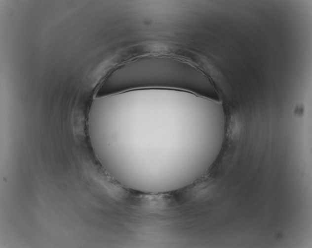 X0000110860524200906180948